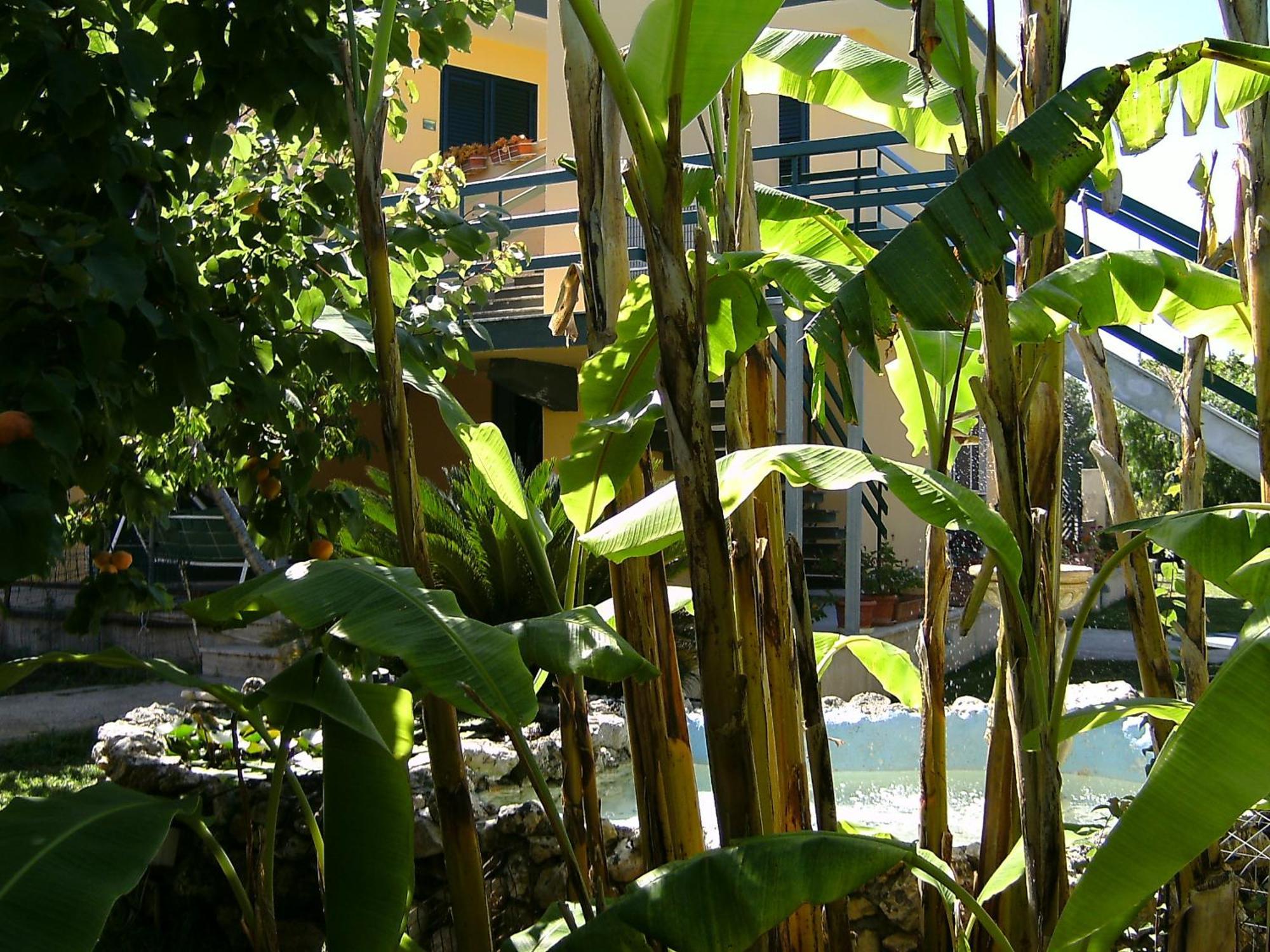 Vento Dell'Est Bed and Breakfast San Cataldo  Buitenkant foto